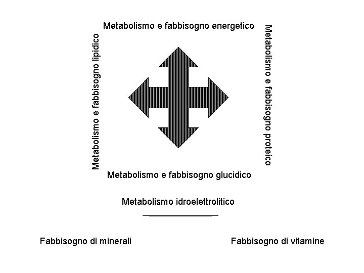 Metabolismo e fabbisogno lipidico Metabolismo e fabbisogno proteico Metabolismo e fabbisogno energetico Metabolismo e