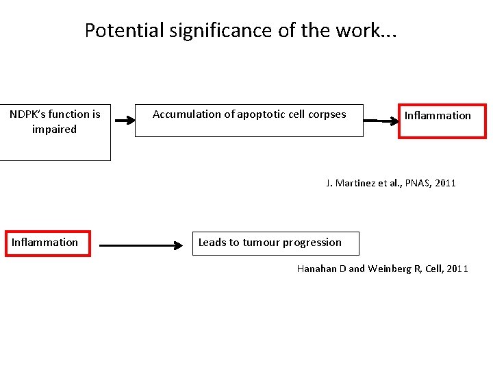 Potential significance of the work. . . NDPK’s function is impaired Accumulation of apoptotic