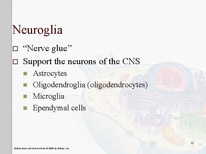 Neuroglia o o “Nerve glue” Support the neurons of the CNS n n Astrocytes