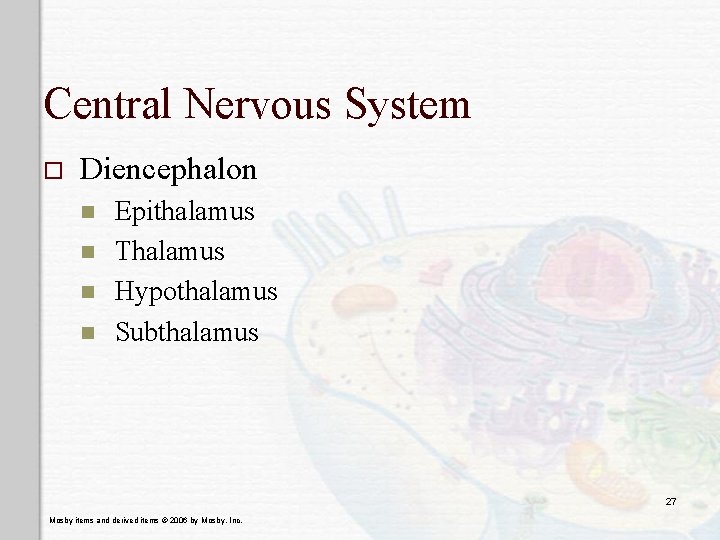 Central Nervous System o Diencephalon n n Epithalamus Thalamus Hypothalamus Subthalamus 27 Mosby items