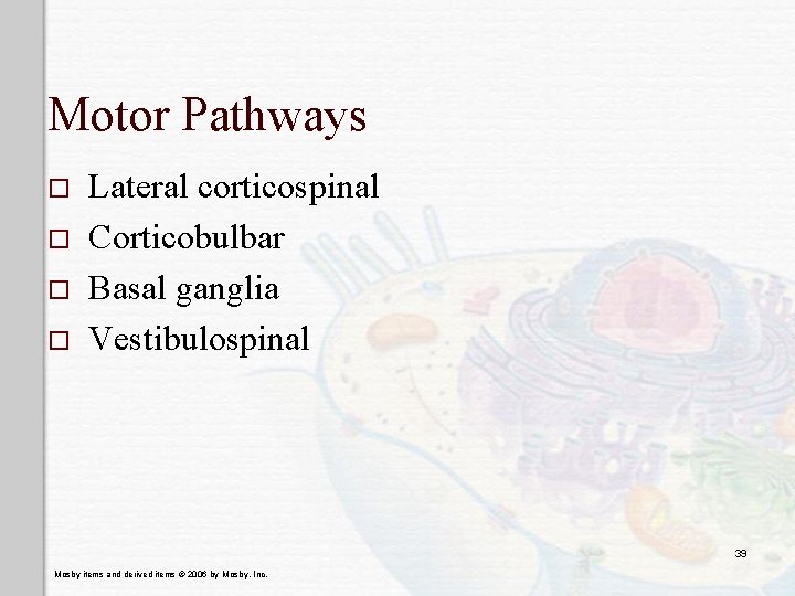 Motor Pathways o o Lateral corticospinal Corticobulbar Basal ganglia Vestibulospinal 39 Mosby items and