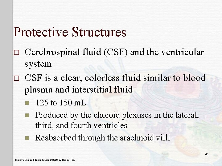 Protective Structures o o Cerebrospinal fluid (CSF) and the ventricular system CSF is a