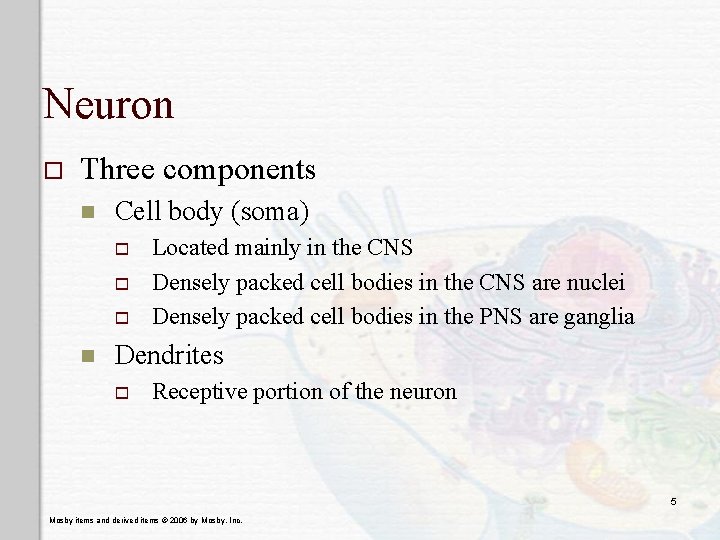 Neuron o Three components n Cell body (soma) o o o n Located mainly