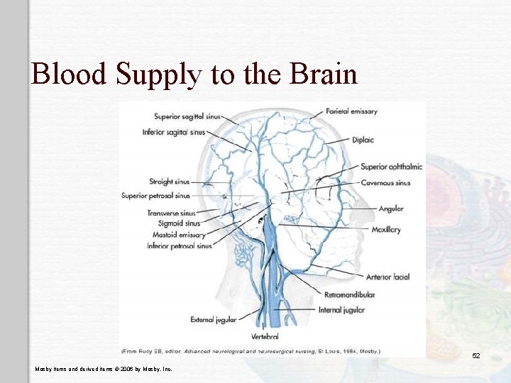 Blood Supply to the Brain 52 Mosby items and derived items © 2006 by