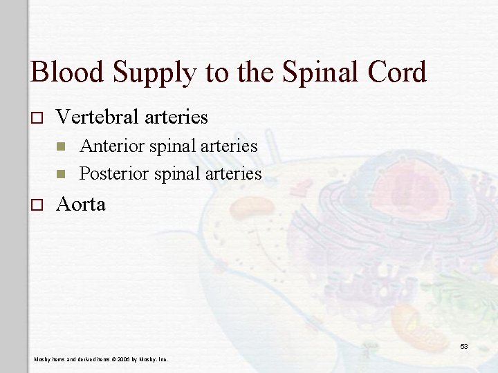 Blood Supply to the Spinal Cord o Vertebral arteries n n o Anterior spinal