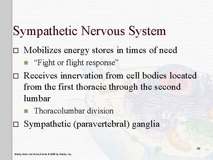 Sympathetic Nervous System o Mobilizes energy stores in times of need n o Receives