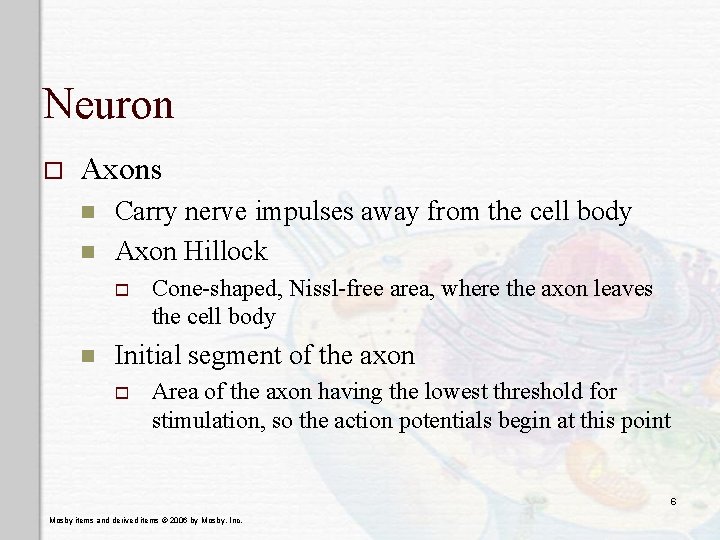 Neuron o Axons n n Carry nerve impulses away from the cell body Axon