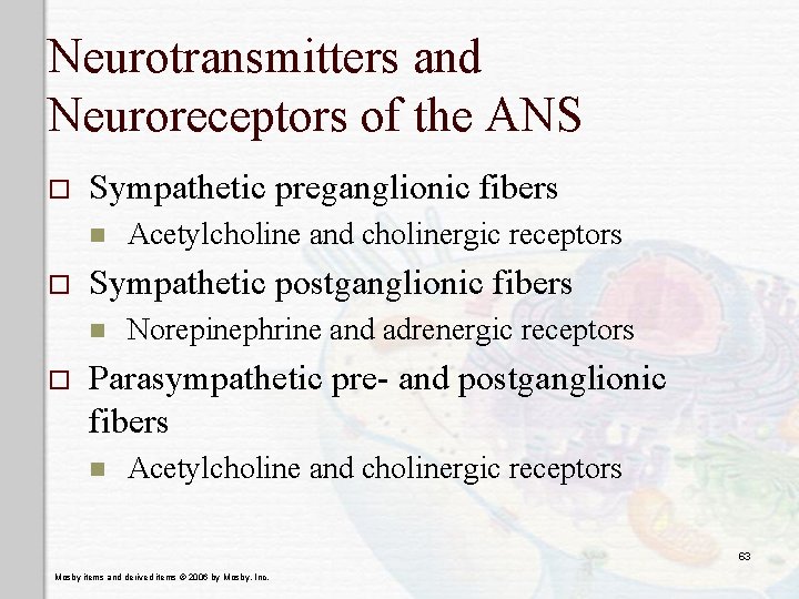 Neurotransmitters and Neuroreceptors of the ANS o Sympathetic preganglionic fibers n o Sympathetic postganglionic
