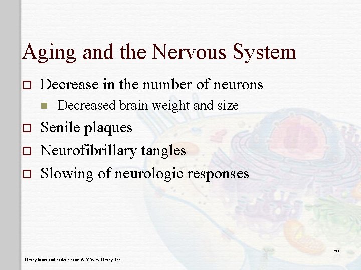 Aging and the Nervous System o Decrease in the number of neurons n o