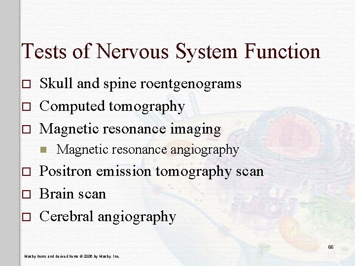 Tests of Nervous System Function o o o Skull and spine roentgenograms Computed tomography