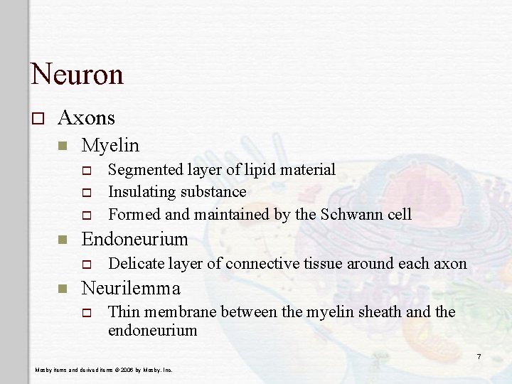 Neuron o Axons n Myelin o o o n Endoneurium o n Segmented layer