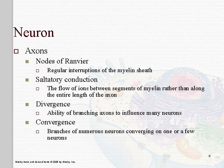 Neuron o Axons n Nodes of Ranvier o n Saltatory conduction o n The