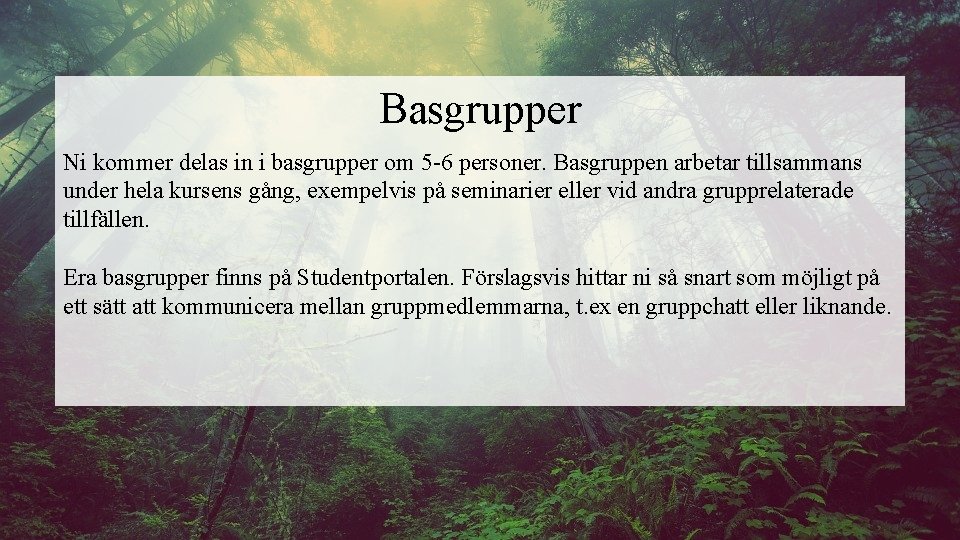 Basgrupper Ni kommer delas in i basgrupper om 5 -6 personer. Basgruppen arbetar tillsammans