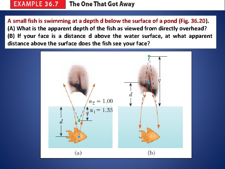 A small fish is swimming at a depth d below the surface of a