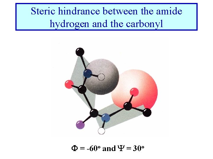 Steric hindrance between the amide hydrogen and the carbonyl F = -60 o and