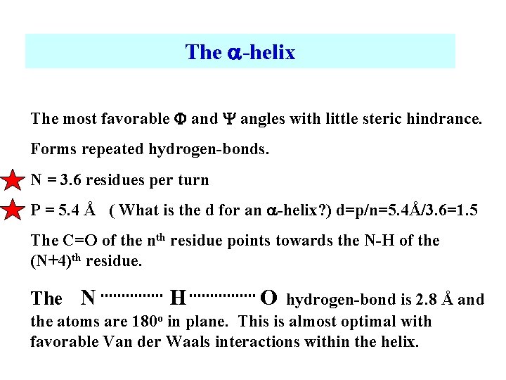 The -helix The most favorable F and Y angles with little steric hindrance. Forms