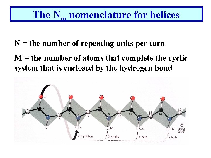 The Nm nomenclature for helices N = the number of repeating units per turn