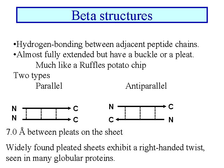 Beta structures • Hydrogen-bonding between adjacent peptide chains. • Almost fully extended but have