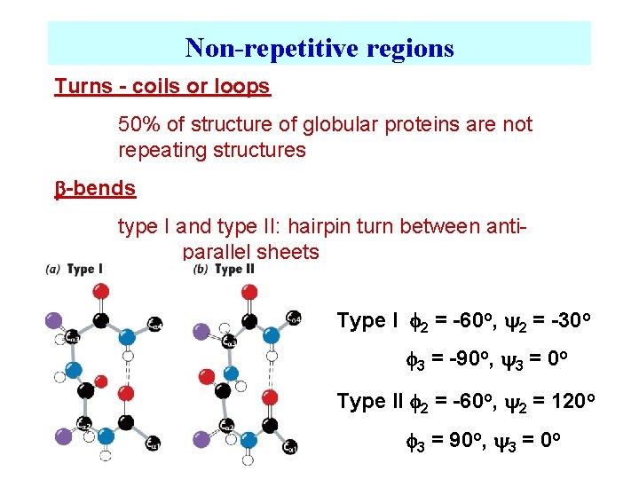 Non-repetitive regions Turns - coils or loops 50% of structure of globular proteins are