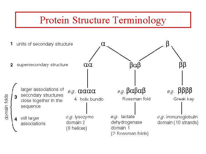 Protein Structure Terminology 