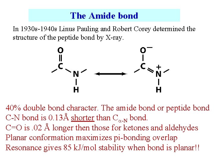 The Amide bond In 1930 s-1940 s Linus Pauling and Robert Corey determined the