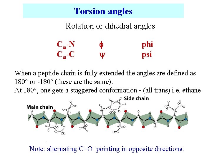 Torsion angles Rotation or dihedral angles C -N C -C phi psi When a