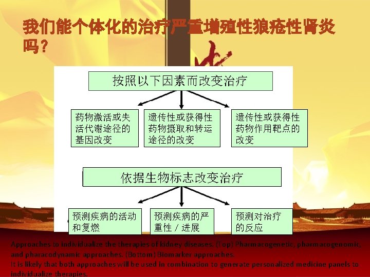 我们能个体化的治疗严重增殖性狼疮性肾炎 吗？ 按照以下因素而改变治疗 药物激活或失 活代谢途径的 基因改变 遗传性或获得性 药物摄取和转运 途径的改变 遗传性或获得性 药物作用靶点的 改变 依据生物标志改变治疗 预测疾病的活动