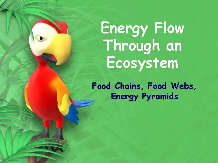 Energy Flow Through an Ecosystem Food Chains, Food Webs, Energy Pyramids 1 