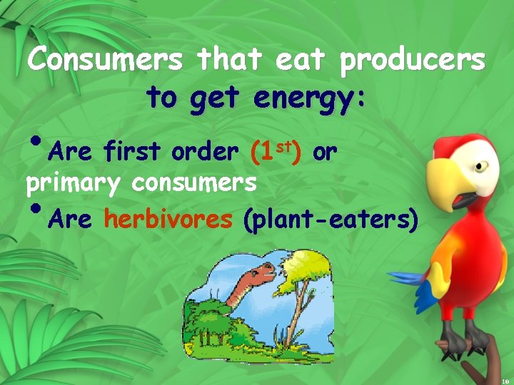 Consumers that eat producers to get energy: • Are first order (1 ) or