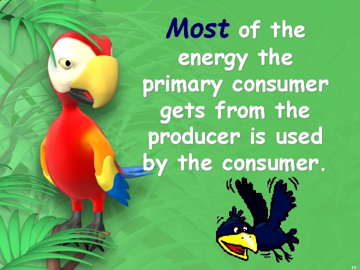 Most of the energy the primary consumer gets from the producer is used by