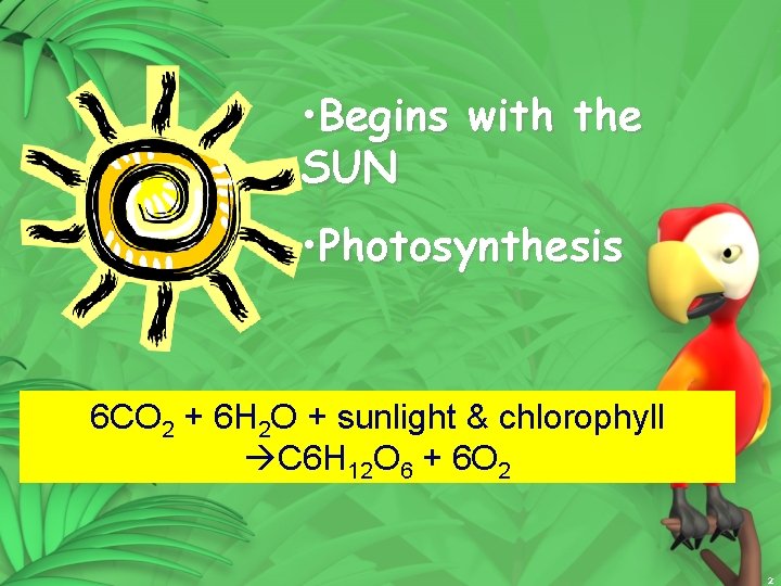  • Begins with the SUN • Photosynthesis 6 CO 2 + 6 H