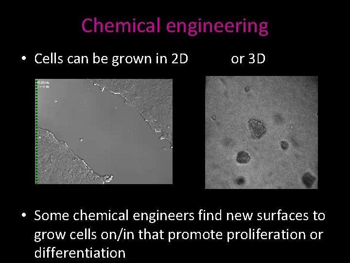 Chemical engineering • Cells can be grown in 2 D or 3 D •