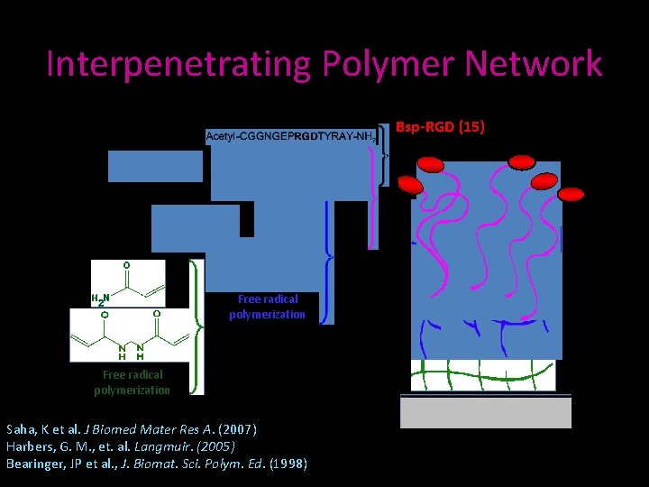 Interpenetrating Polymer Network Bsp-RGD (15) Free radical polymerization Saha, K et al. J Biomed