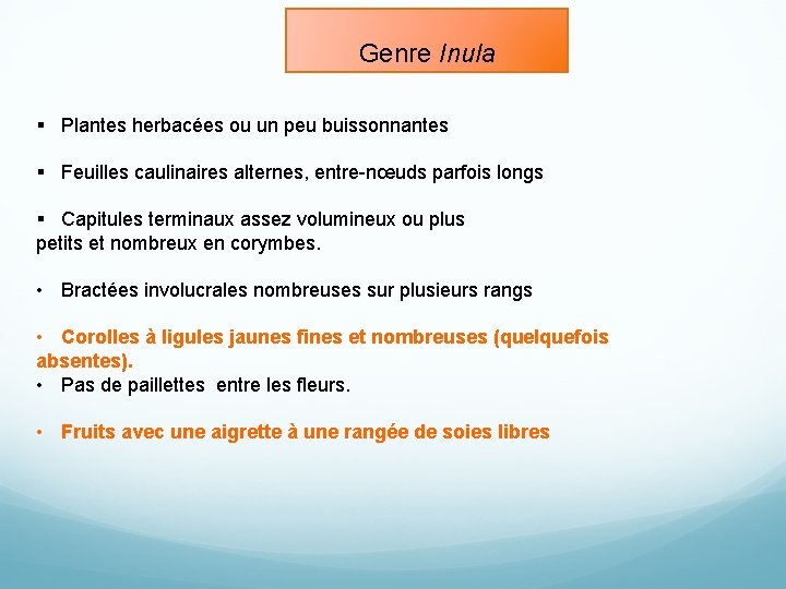 Genre Inula § Plantes herbacées ou un peu buissonnantes § Feuilles caulinaires alternes, entre-nœuds