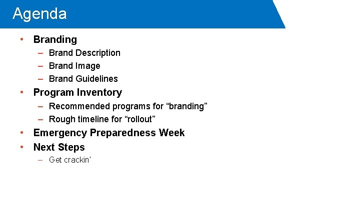 Agenda • Branding – Brand Description – Brand Image – Brand Guidelines • Program