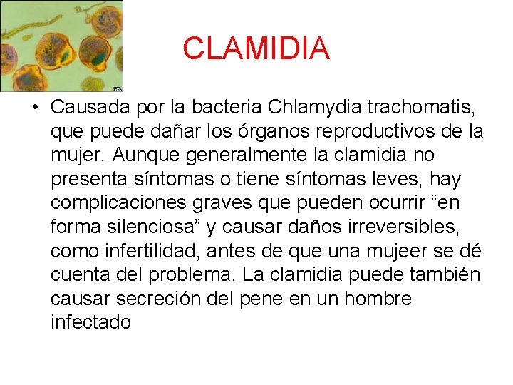 CLAMIDIA • Causada por la bacteria Chlamydia trachomatis, que puede dañar los órganos reproductivos