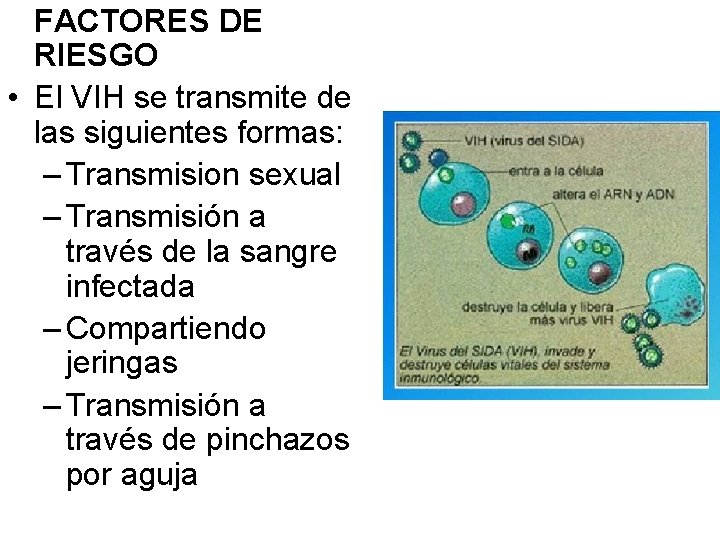 FACTORES DE RIESGO • El VIH se transmite de las siguientes formas: – Transmision