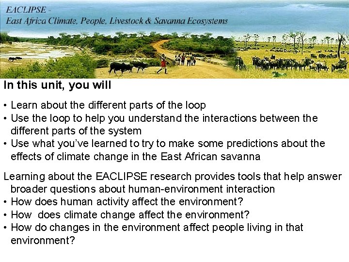 In this unit, you will • Learn about the different parts of the loop