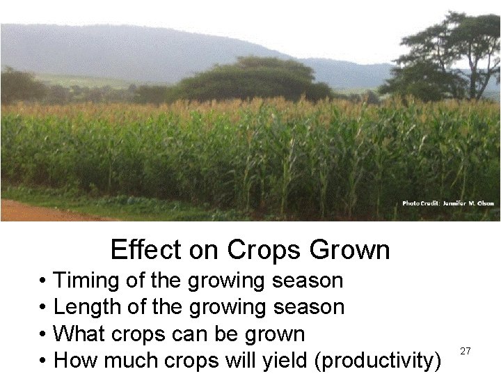 Effect on Crops Grown • • Timing of the growing season Length of the