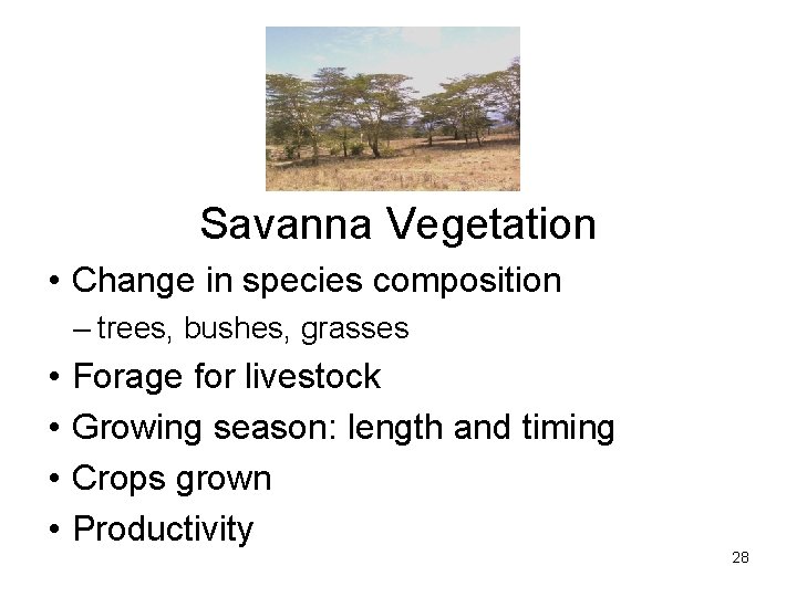 Savanna Vegetation • Change in species composition – trees, bushes, grasses • • Forage