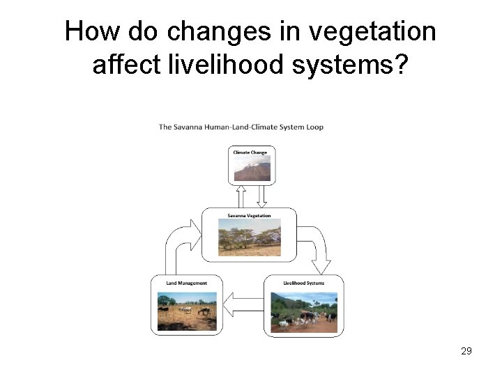 How do changes in vegetation affect livelihood systems? 29 