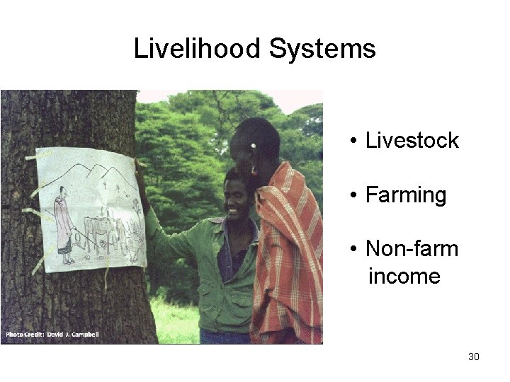 Livelihood Systems • Livestock • Farming • Non-farm income 30 