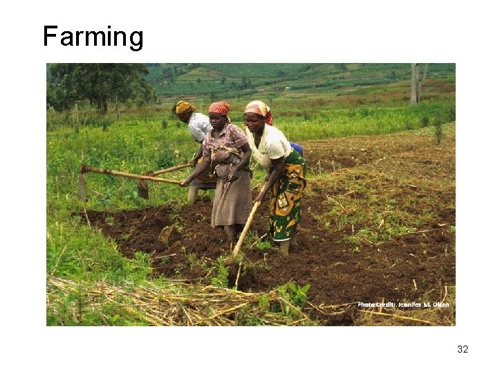 Farming Photo Credit: Jennifer M. Olson 32 