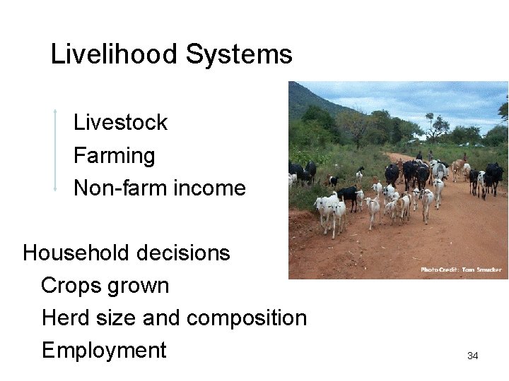 Livelihood Systems Livestock Farming Non-farm income Household decisions Crops grown Herd size and composition