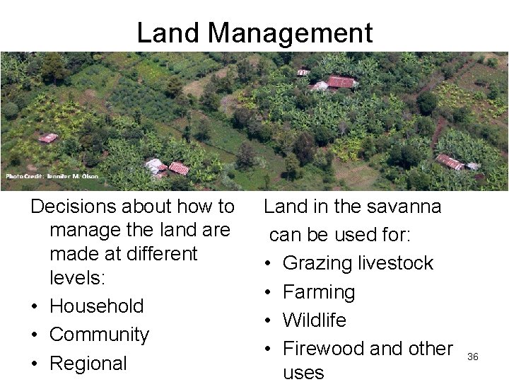 Land Management Decisions about how to manage the land are made at different levels: