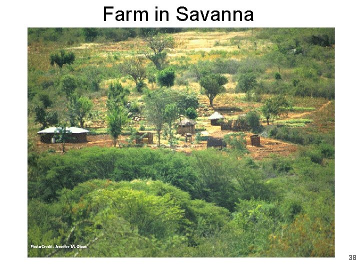 Farm in Savanna Farming Photo Credit: Jennifer M. Olson 38 