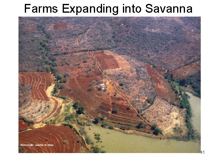 Farms Expanding into Savanna Photo Credit: Jennifer M. Olson 41 