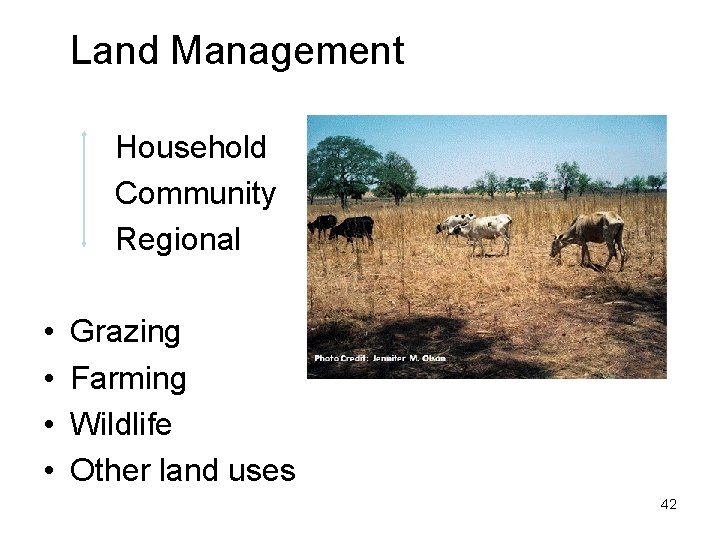 Land Management Household Community Regional • • Grazing Farming Wildlife Other land uses 42