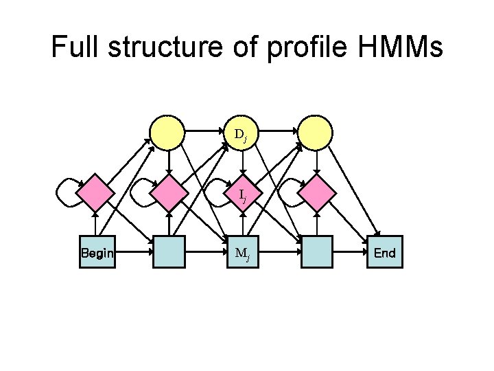 Full structure of profile HMMs Dj Ij Begin Mj End 