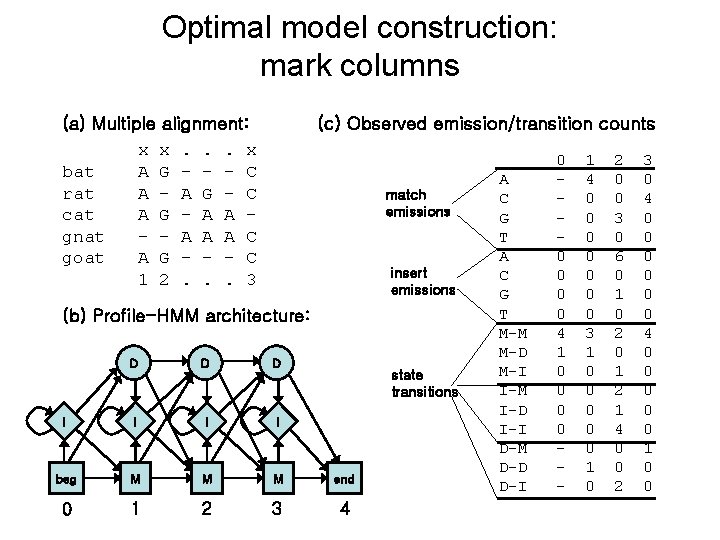 Optimal model construction: mark columns (a) Multiple alignment: x x. . . x bat
